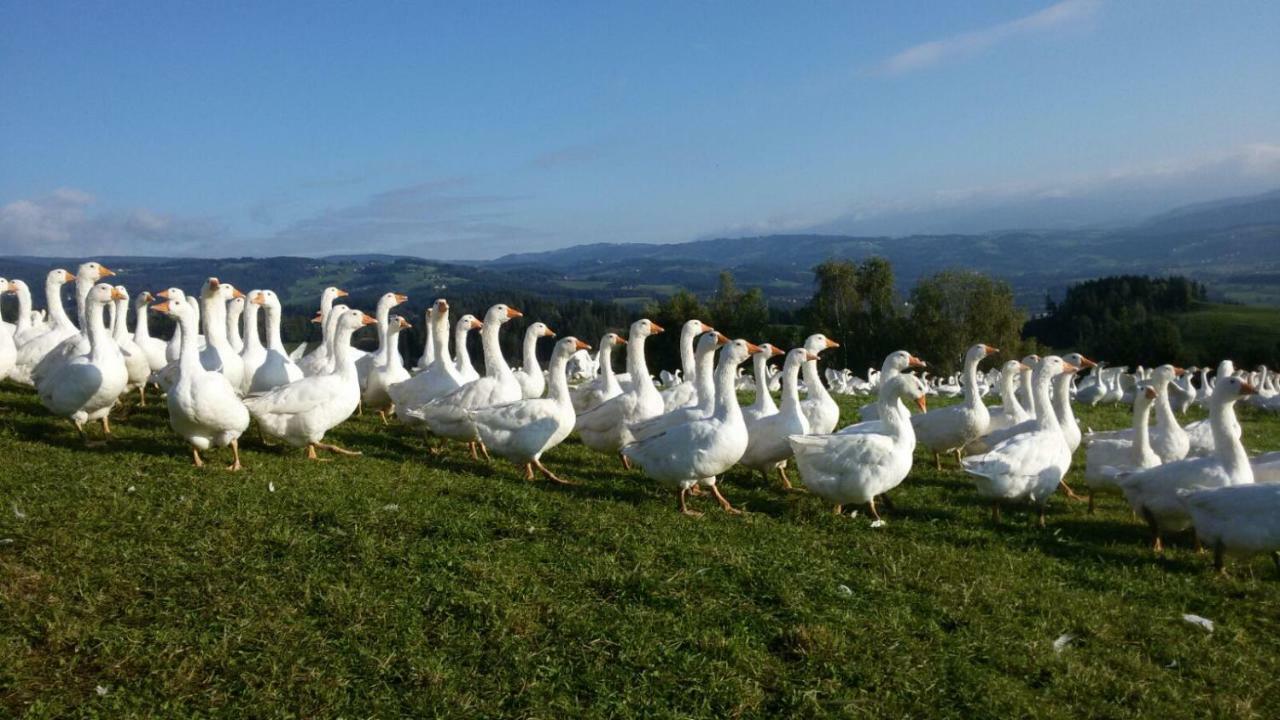 Lindlhof Fam. Taferner Βίλα Sankt Andrä Εξωτερικό φωτογραφία